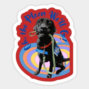 Oh the Places We Will Go Black Lab Sticker